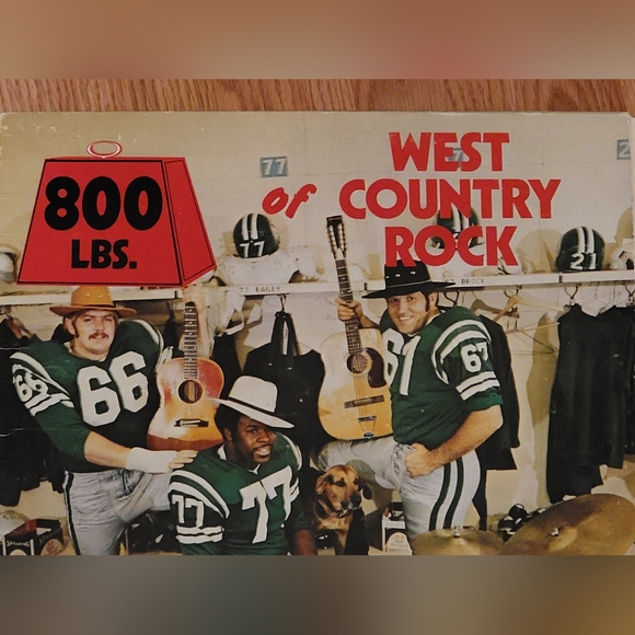 800 Lbs of West Country Rock Vinyl Record - Picture 3 of 12